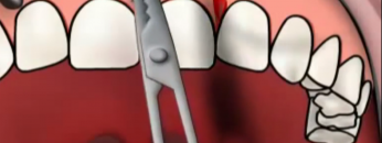 Screenshot (36)